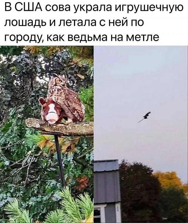 Картинков разных вам