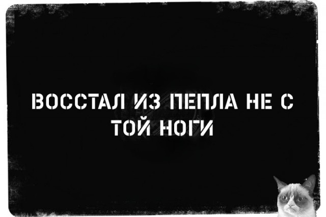 Нуштош 09.01.2025. Вот и праздники прошли (s3e1)