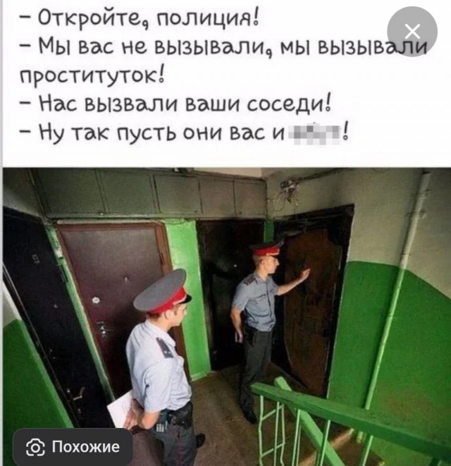 Россиянин получит штраф за громкое мяуканье кота