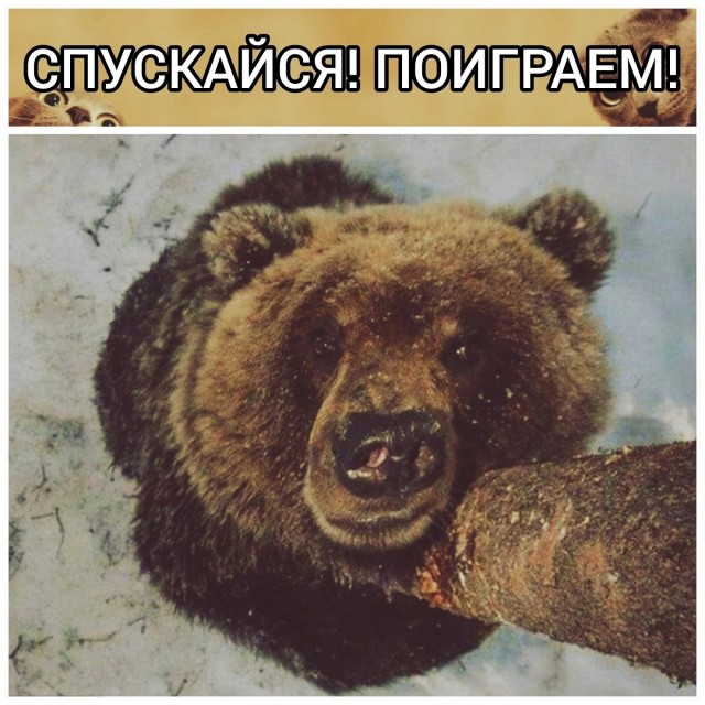 Так себе картинки 14.03.25