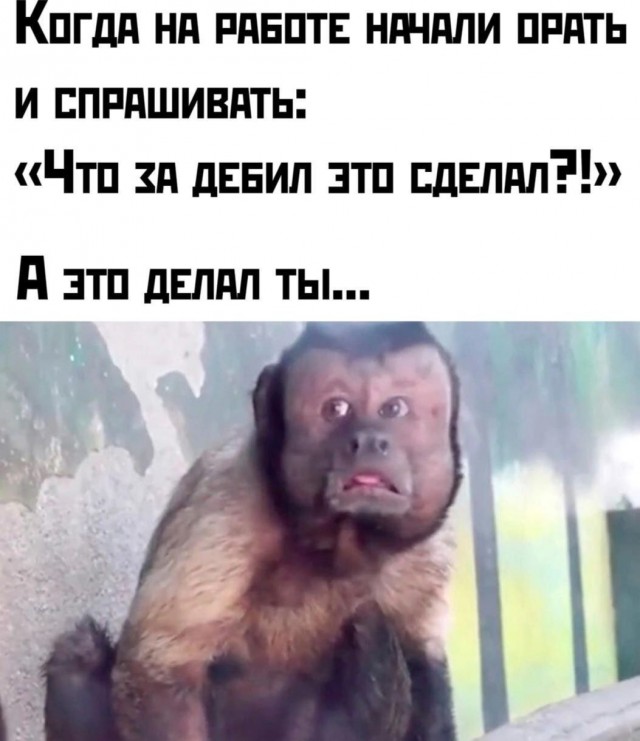 Юмор для тех, кто уже повзрослел и понял, что счастье — это когда никто не звонит