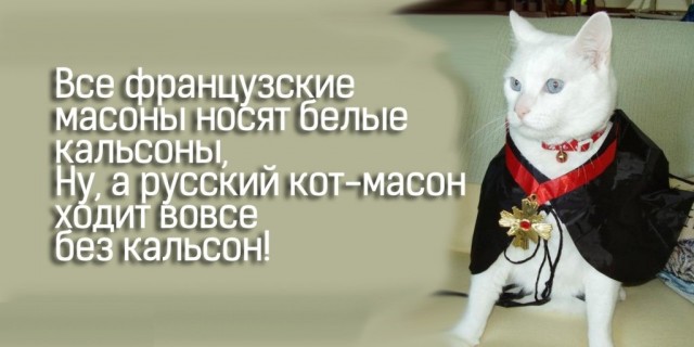 Девушка попросила в Хвиттере остальных скинуть любимые мемы с котами