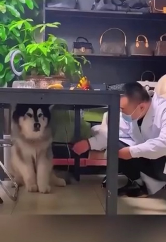 Какие глазки прекрасные