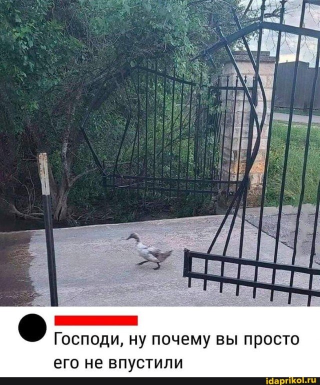 Памагите!