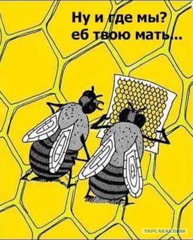 Два месяца убил...