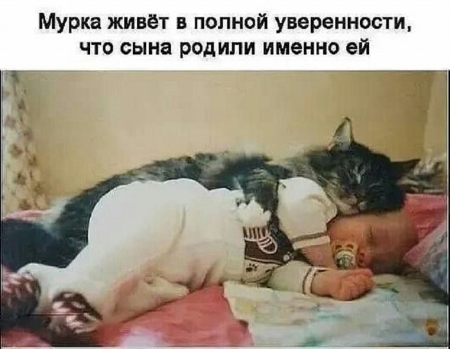 Так себе картинки 06.10.25