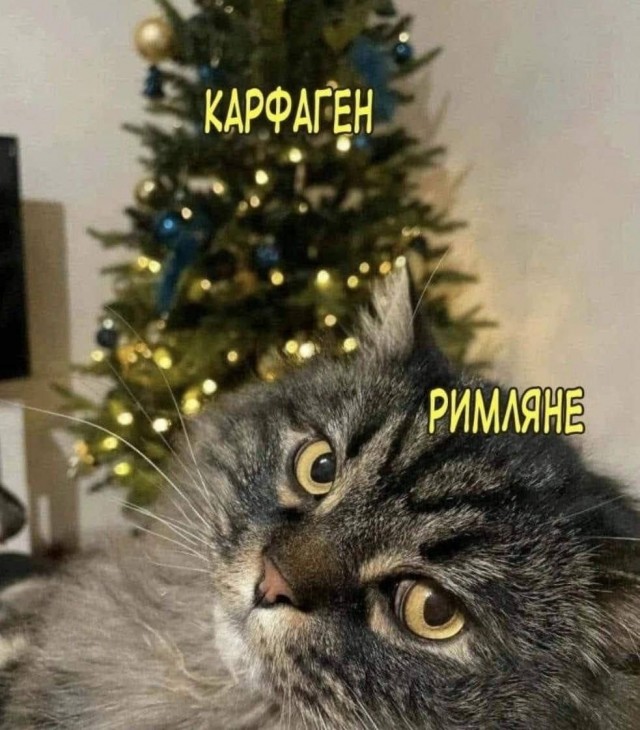 Картинки для деградации 116 (разной степени свежести)