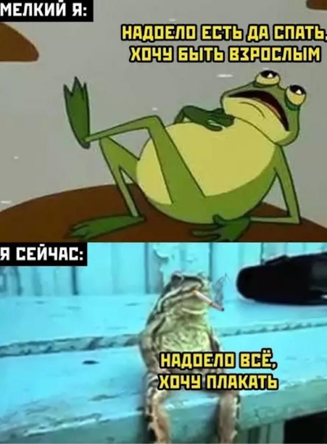 Воскресные картинки