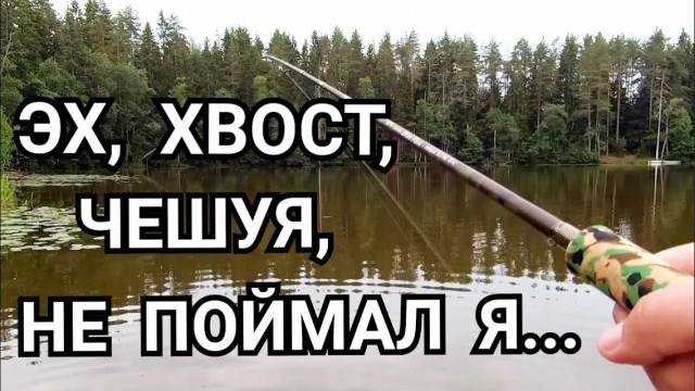 Техника заброса.