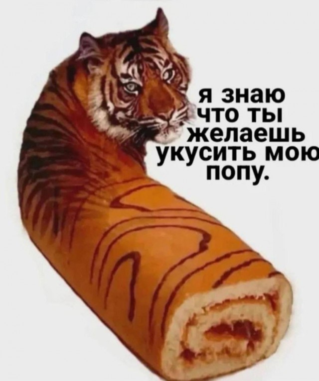 Смешные комментарии из социальных сетей 08.03.2026