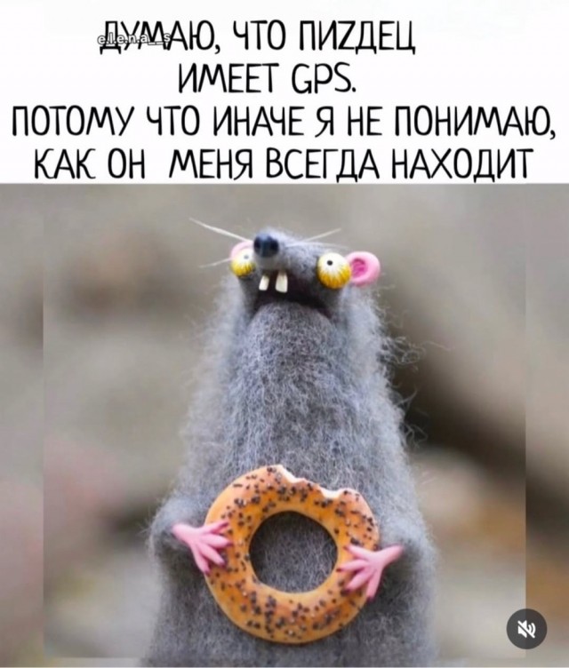 Прикольные и просто красивые картинки 13.03.2026