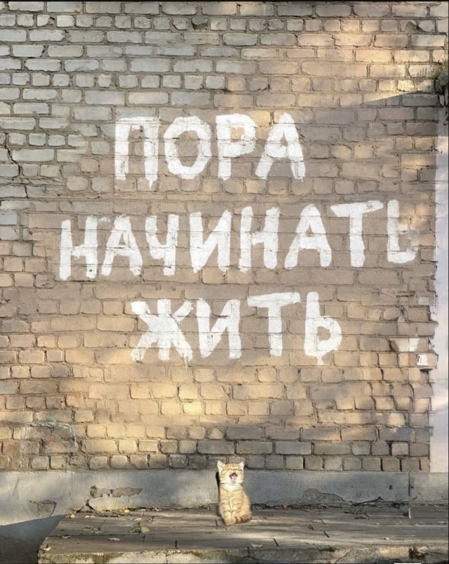 Прикольные и просто красивые картинки 03.04.2026