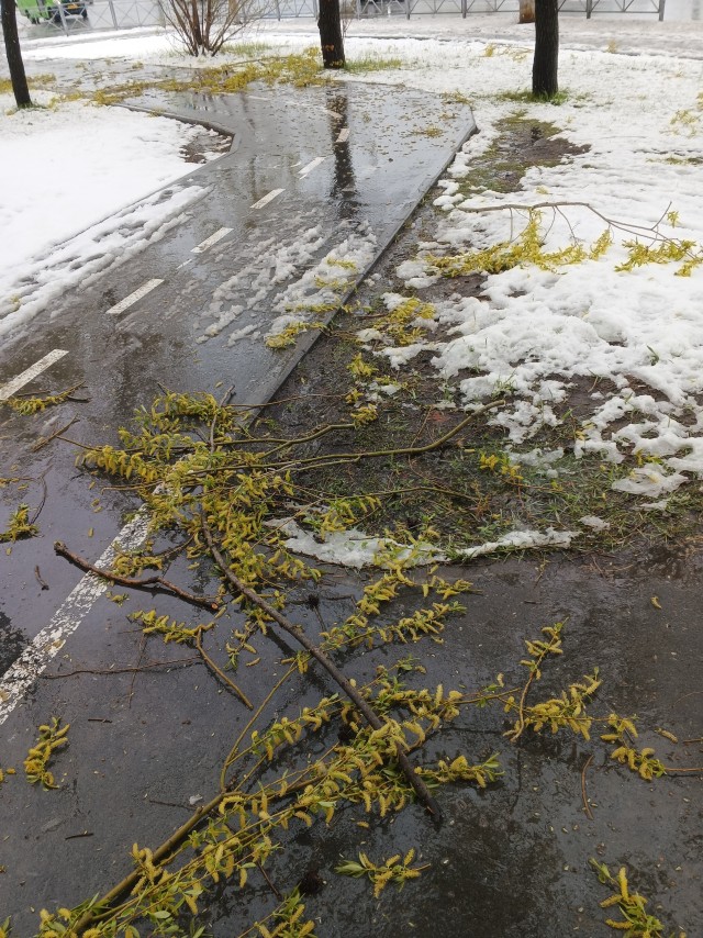 Новосибирск