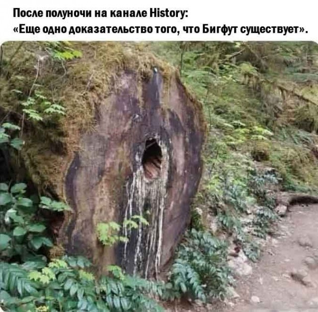 Картинки из мусорной корзины 02.05.26