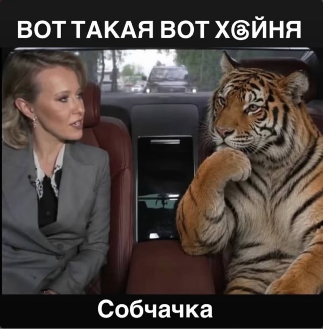 Картинки для деградации 272 (разной степени свежести)