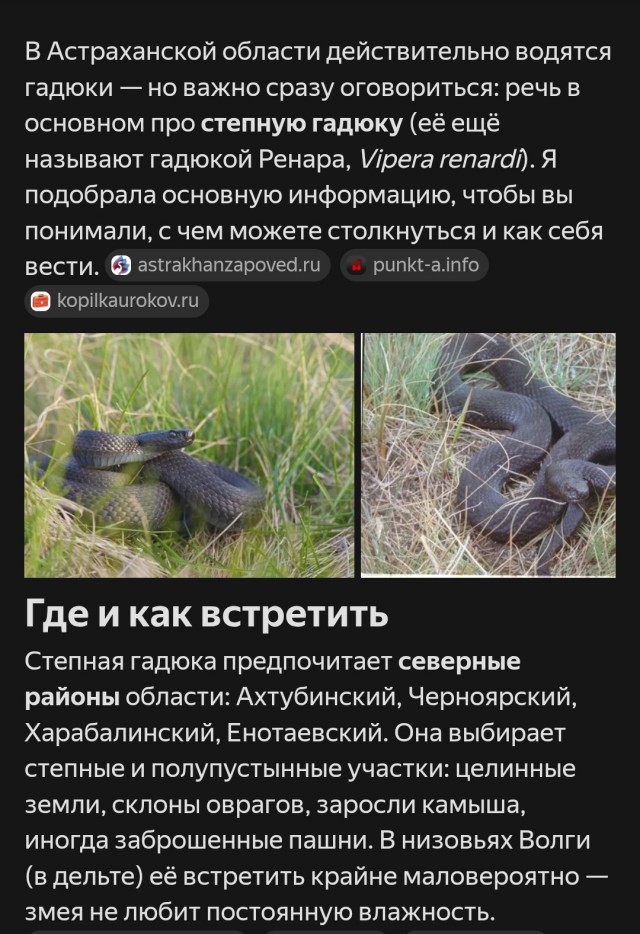 С семьёй в Астрахань!