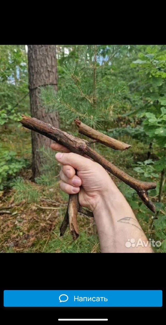 Искал медь, нашёл золото