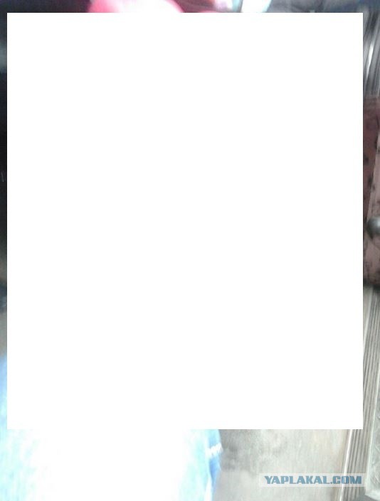 Верблюжья лапка