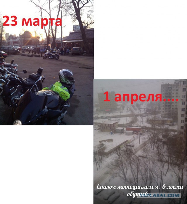 Да это шутка была!