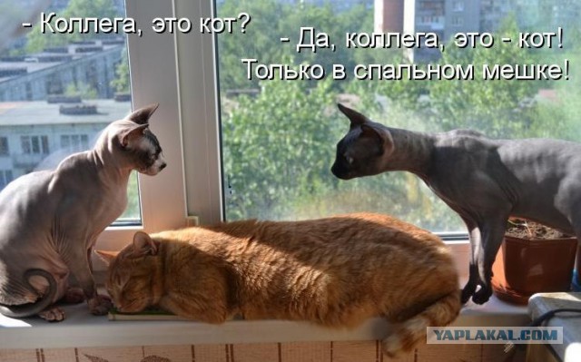 Отвернитесь. Я голый.