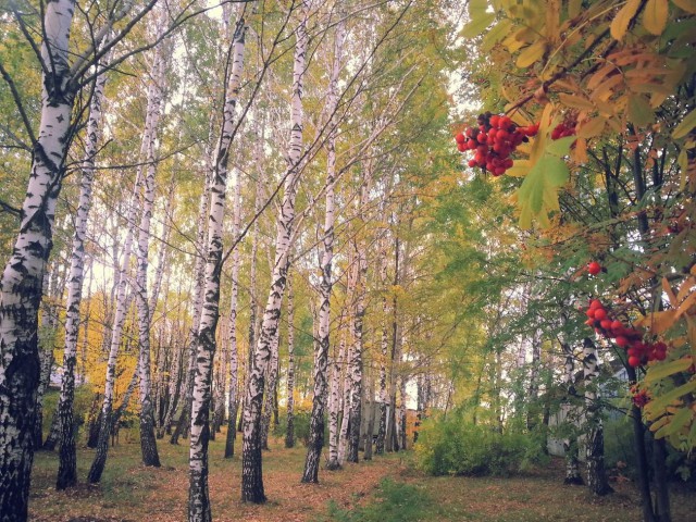 А что у Вас сейчас?