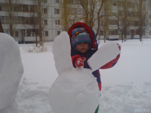 Сам белый, а хвост пупочкой?