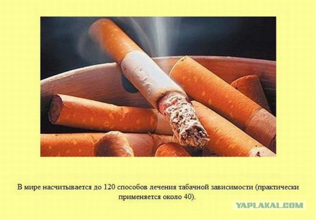 20 фактов обо всем