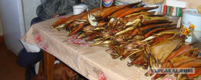 Посылочка с Сахалина