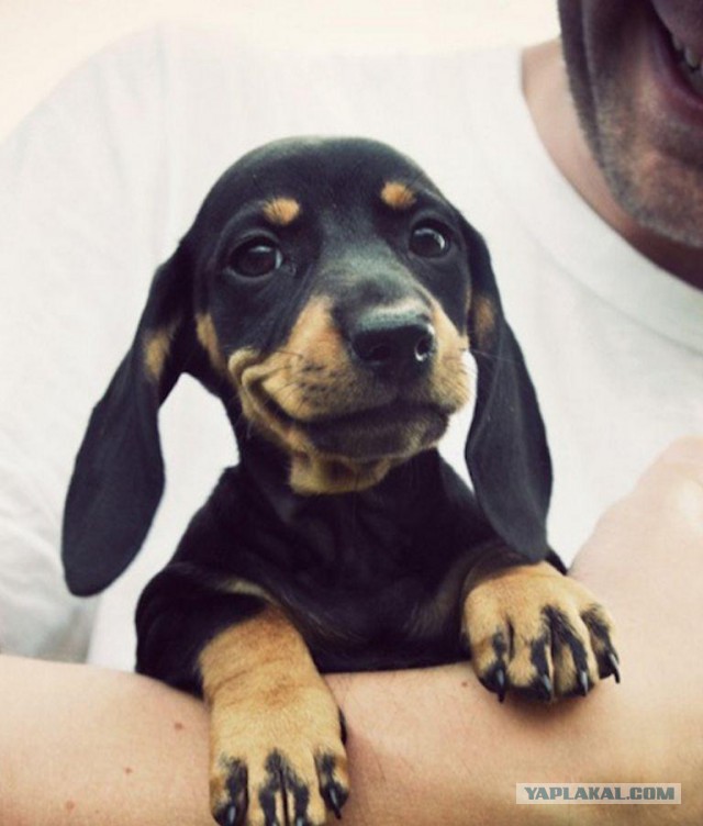 Милость этих фото зашкаливает