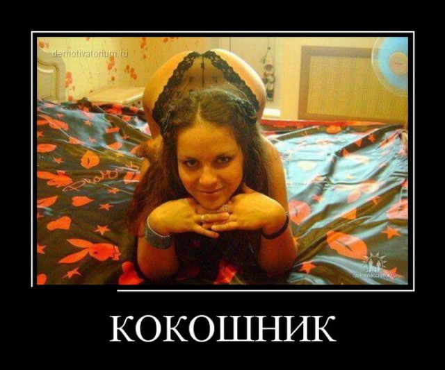 Прикольные картинки