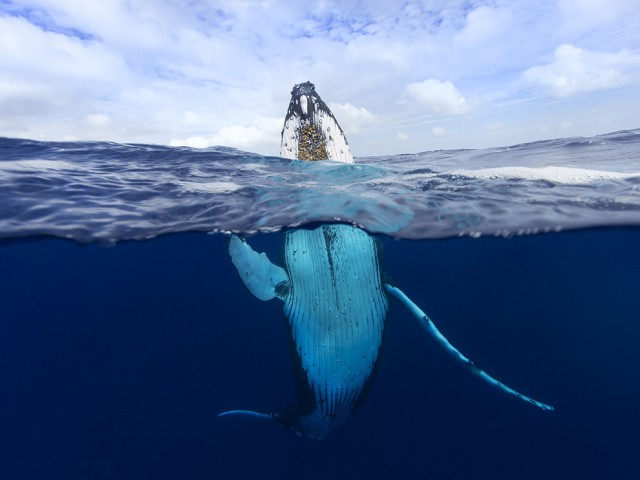 National Geographic: лучшие фото путешественников