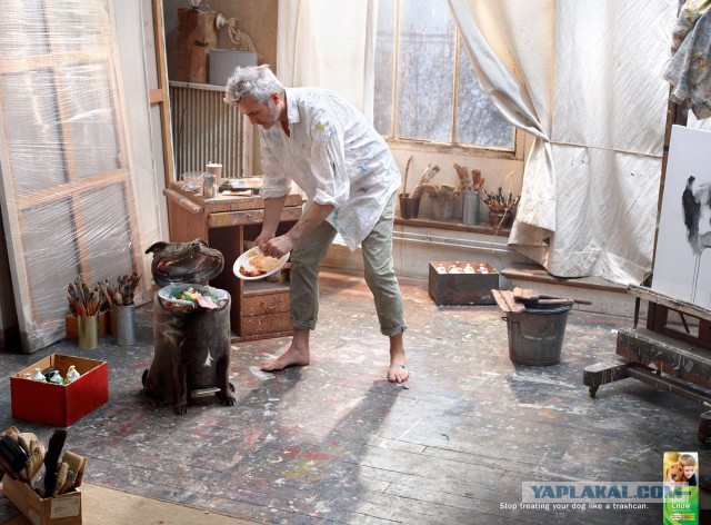 Реклама собачьего корма