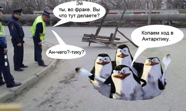 Пожабим?
