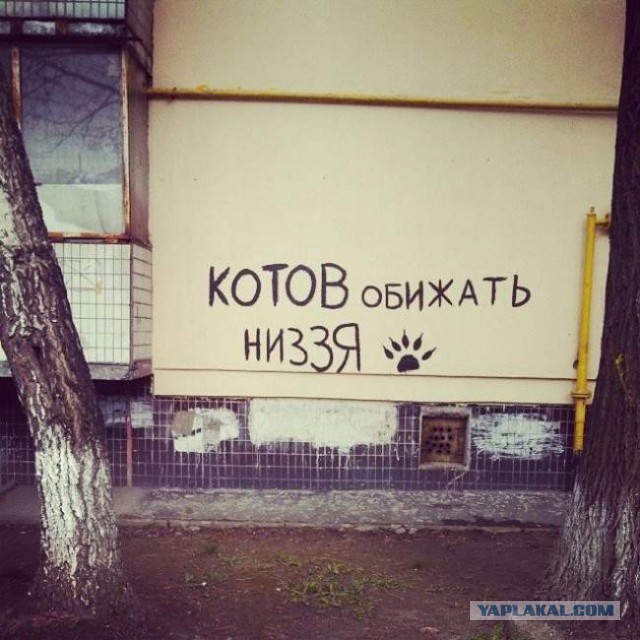 Народые мудрости