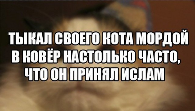 Смешные комментарии из социальных сетей 13.10.2017