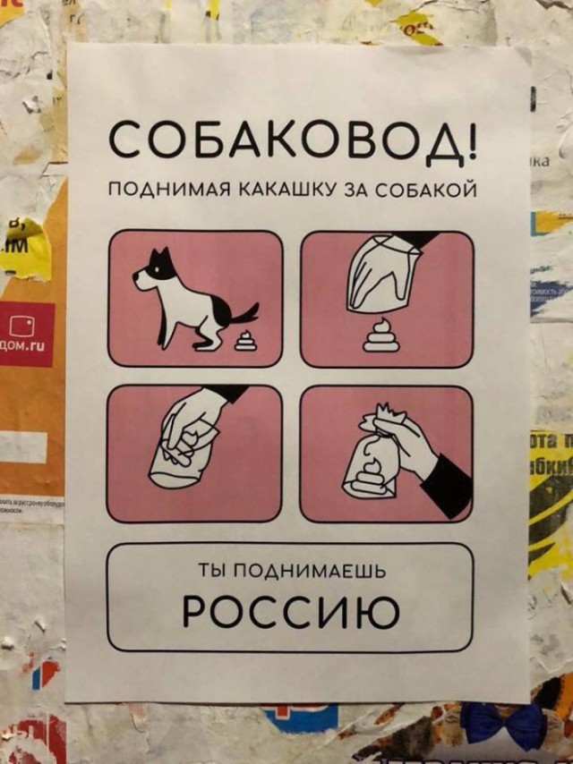 Подборка интересных и веселых картинок