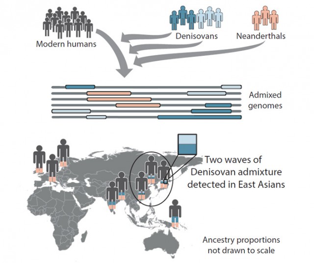 Шах и мат Вам, дарвинисты!