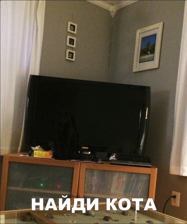 Нестандартный юмор