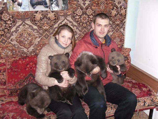 Милые животные. Мимиметр сломался
