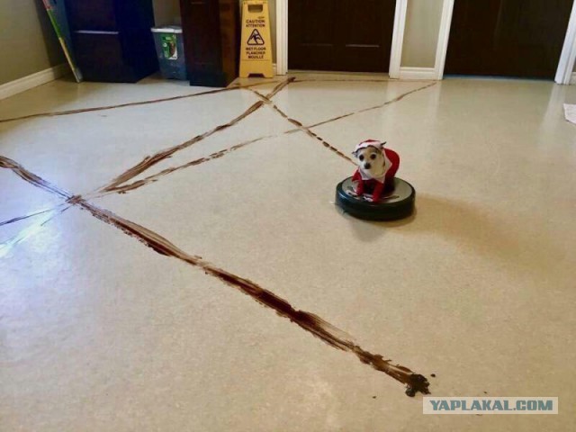 Ушёл за холодцом