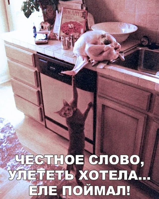 Опять картинок