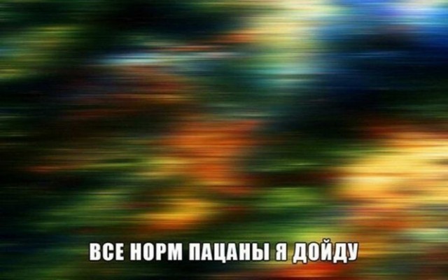 Фотки и картинки: юморные и красивые, забавные и милые 05.10.20