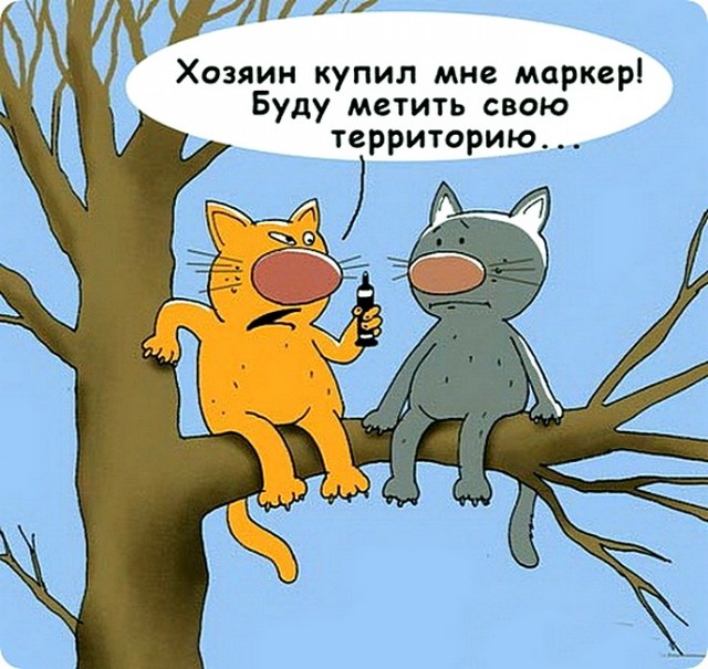 ЯПокатуры от tubdoc62