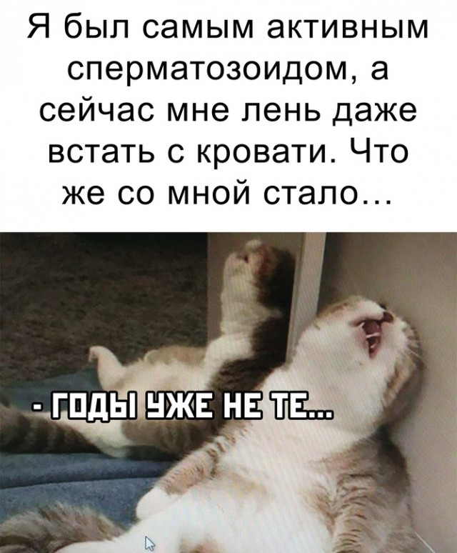 Весёлый полтишок 5.03