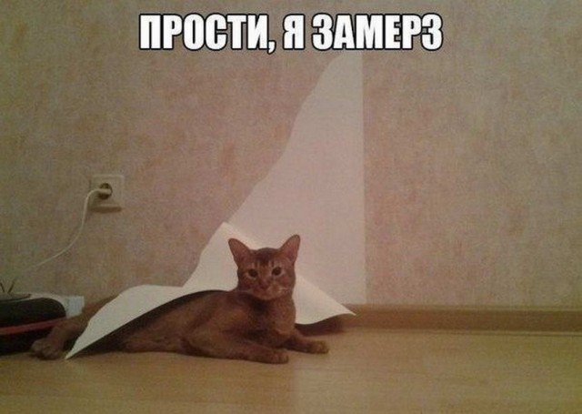 Картинки и мемы для настроения 08.06.2021