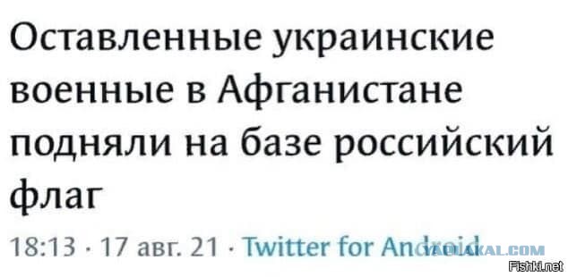 Про наших небратьев