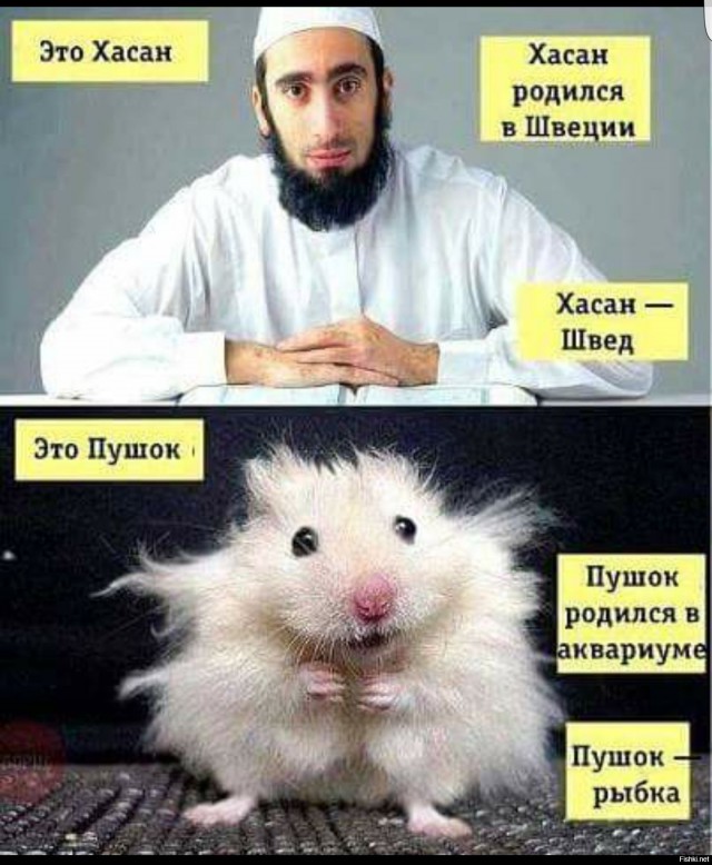 Мигранты в Финляндии жалуются и недовольны, что в стране слишком много... финнов