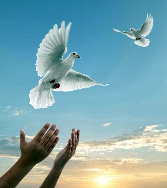 В Москве мужчина попал в больницу после драки из-за антивоенных лозунгов