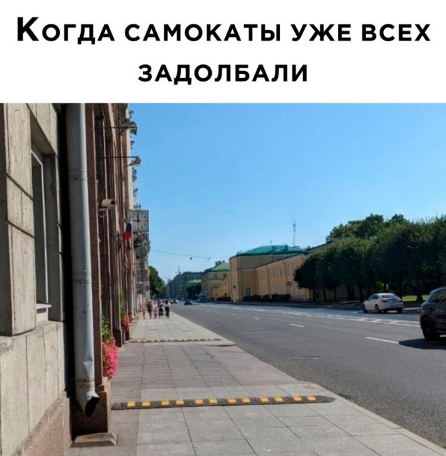 Весёлый полтишок 23.08.22