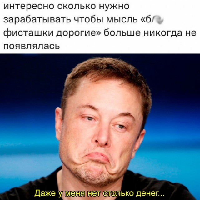 Весёлый полтишок 24.11.22